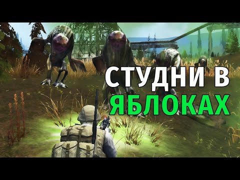 Видео: 73. Студни в Яблоках. 100 яблок за 1 час - реально? Stay Out | RU2