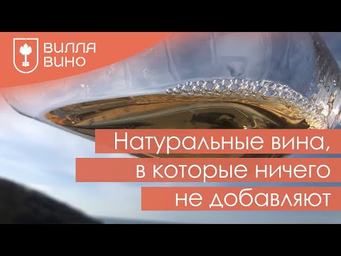 Видео: Натуральные Вина, в которые ничего не добавляют.