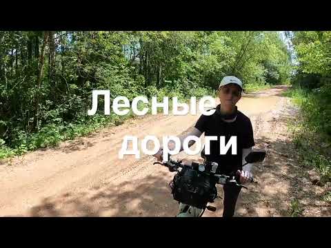 Видео: Лесные дороги