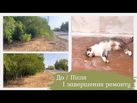 Видео: ВЛОГ: розчистила зарості акації / результати ремонту в кімнаті