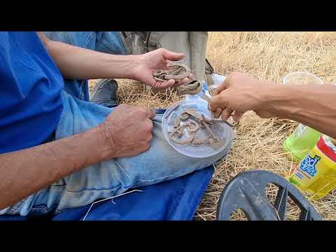 Видео: Интересное место/Interesting place (08.2025) #находки #treasuresearch #metaldetecting 