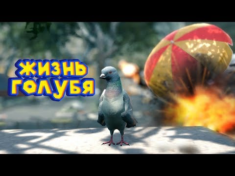 Видео: СИМУЛЯТОР ВРЕДНОГО ГОЛУБЯ Pigeon Simulator