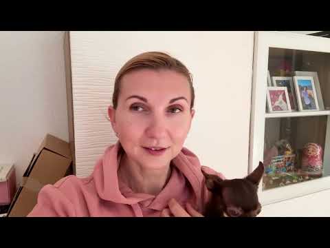 Видео: 8 ноября 2025 г.