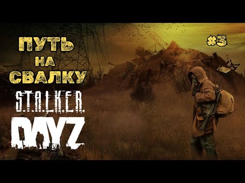 Видео: ПУТЬ НА СВАЛКУ➤DAYZ STALKER QUANT #3