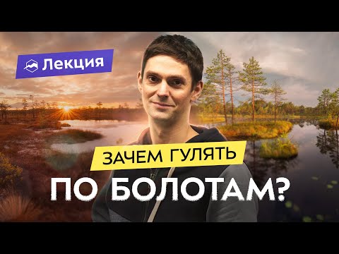 Видео: В поход по болотам! Как и где гулять, чтобы насладиться и не утонуть? Болото - это красиво?!