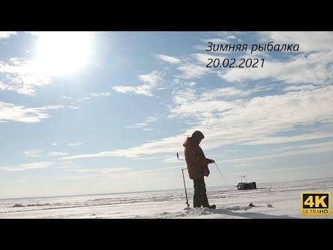 Видео: Зимняя рыбалка в глухозимье 20.02.2021 озеро Ильмень.