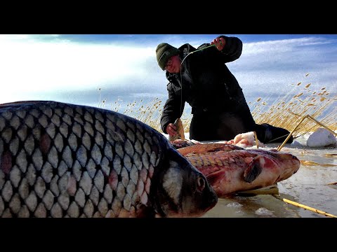 Видео: ТАНКИ В КАМЫШЕ РВУТ ЛЕСКИ И РАЗГИБАЮТ МОРМЫШКИ!!Щедрый последний лед! Рыбалка на сазана.