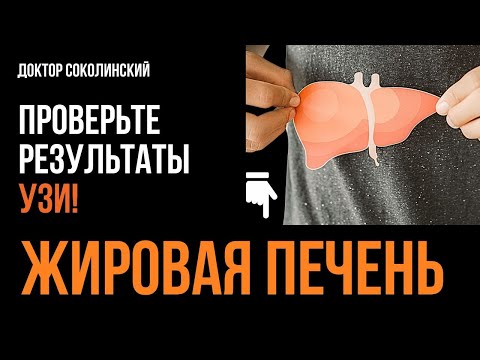 Видео: "Жировая печень" или жировой гепатоз: как не довести до цирроза?