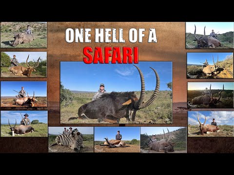 Видео: Чертовски захватывающее сафари с Bridger Safaris