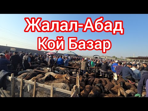 Видео: Кой Базар Жалал-Абад