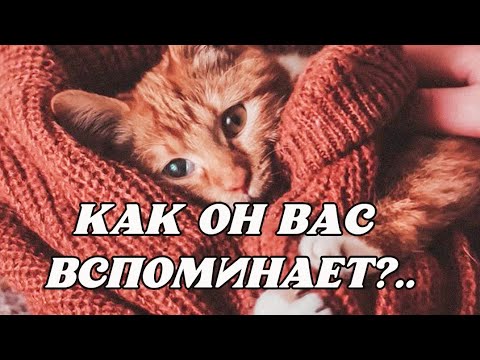 Видео: 💌КАК МУЖЧИНА ПОЖИВАЕТ, КАКИМ СЛОВОМ ВСПОМИНАЕТ⁉️👌