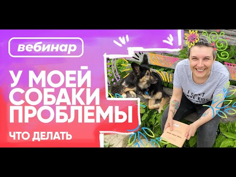 Видео: Бесплатный вебинар Насти Бобковой «У моей собаки проблемы. Что делать»  25 мая 2021