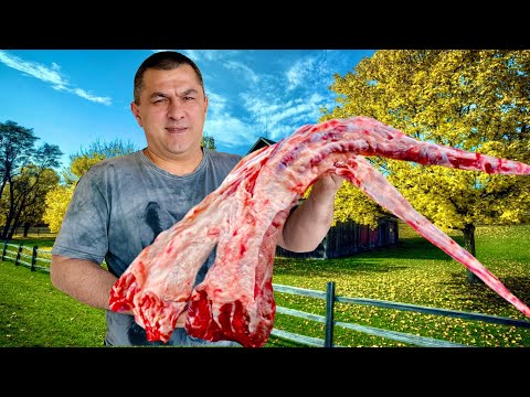 Видео: БЛЮДО из БЫЧЬИХ  ХВОСТОВ  / РЫБА ЖАРЕНАЯ РЕЦЕПТ В КАЗАНЕ НА КОСТРЕ