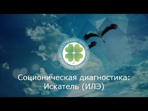 Видео: Соционика: Дон Кихот (ИЛЭ). Онлайн-типирование К Кравченко