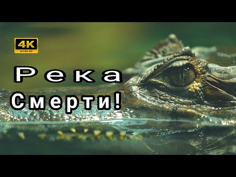 Видео: Река смерти💀 Самое опасное место на планете!🌍