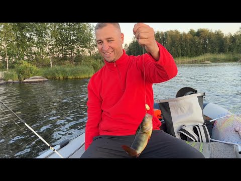 Видео: ОКУНЬ! Вечерняя рыбалка на ОЗЕРЕ. Настоящая ПРИРОДА!
