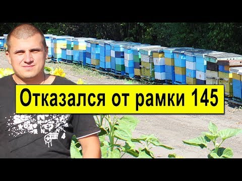 Видео: Почему отказался от гнездовой рамки на 145? Какие улья на моей пасеке?