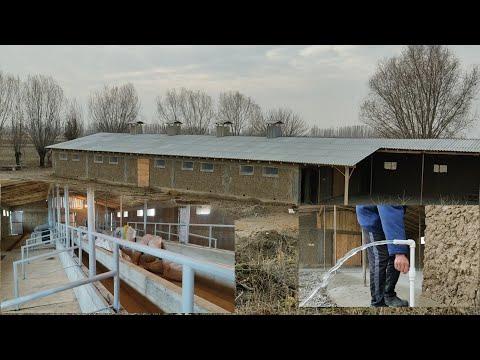Видео: Сарайды ушинтип салуу керек