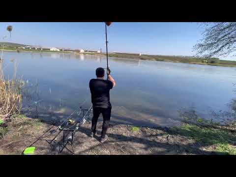 Видео: Карась на карпову снасть #карась #карп 