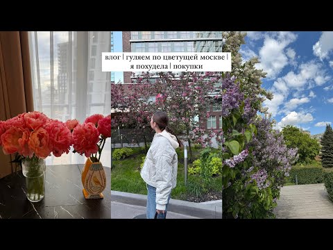 Видео: московский влог | цветение яблонь | я похудела | покупки