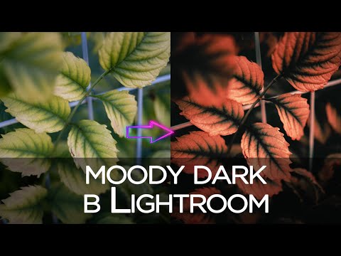 Видео: Обработка фото в Lightroom / Осенний MOODY DARK / ретушь кривыми в Лайтрум
