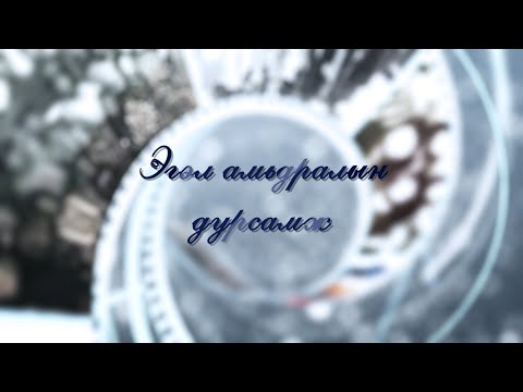 Видео: Эгэл амьдралын дурсамж /2025.08.10/