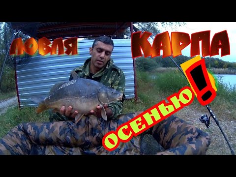 Видео: ЛОВЛЯ КАРПА!!! Осенью! Попали в холодную погоду! Экспериментируем насадки!!!