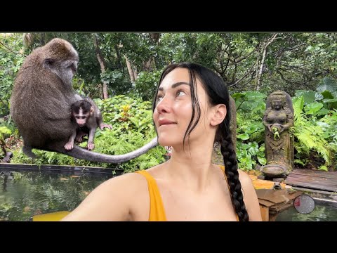 Видео: Маймуни и трафик | Бали еп.2