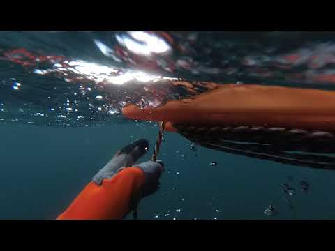 Видео: ПОДВОДНАЯ ОХОТА ЧЕРНОЕ МОРЕ ОКТЯБРЬ ЧАСТЬ 3