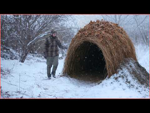Видео: 5 лучших укрытий для выживания в условиях бушкрафта, которые можно построить в дикой природе