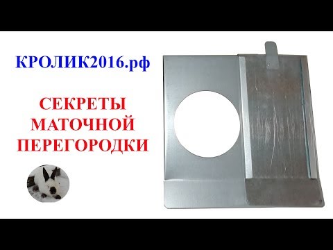 Видео: Маточные перегородки и отверстие в них!