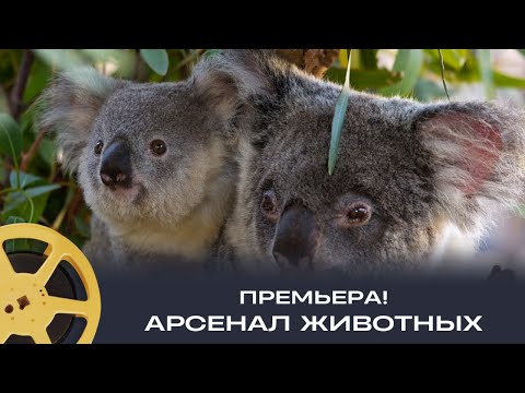Видео: ПРЕМЬЕРА! Арсенал животных // Документальный проект (Чехия, США) 3 серия