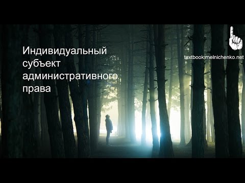 Видео: Индивидуальный субъект административного права