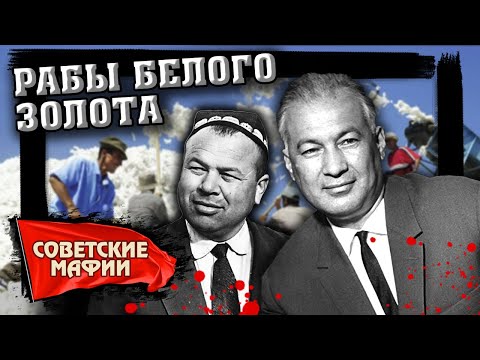 Видео: Рабы белого золота. Хлопковая мафия. Советские мафии