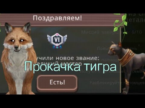 Видео: Прокачала Тигра 190 Ур, и получила новый ранг в WildCraft!