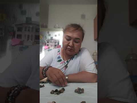 Видео: қазақша 41 құмалақ кімнің жолы ашып немесе жабық