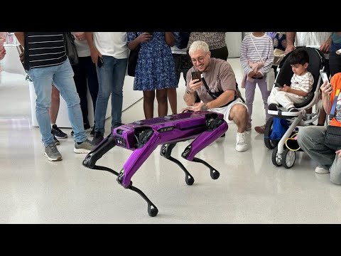 Видео: Сегодня я попал в будущее