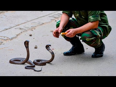 Видео: Солдат кормил детёнышей змей ради забавы… Он не знал, что это однажды спасёт его