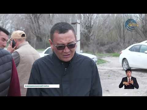 Видео: В селе Шелек Енбекшиказахского района, в населенном пункте стали гибнуть и животные