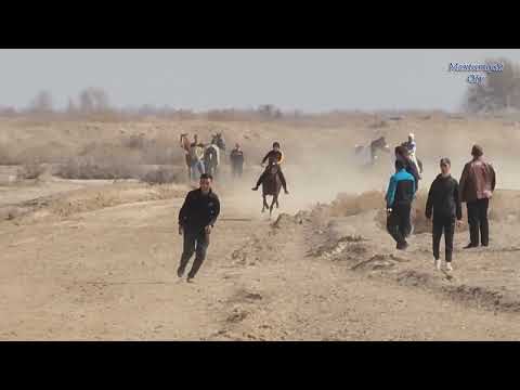 Видео: Шоманай районы