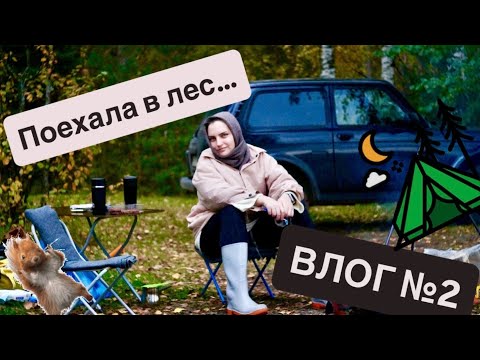 Видео: ПОЕХАЛА В ЛЕС, А ТАМ…! | Мой первый влог в октябре 