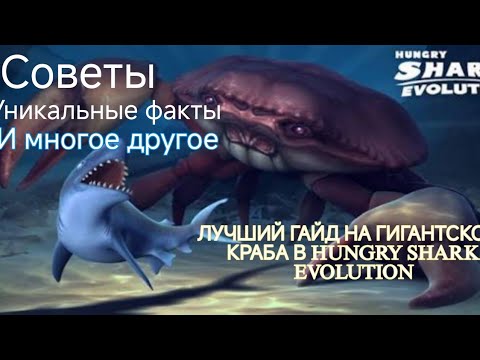 Видео: Hungry Shark Evolution: полноценный и лучший гайд на гигантского краба