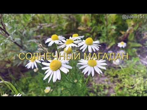 Видео: #СОЛНЕЧНЫЙМАГАДАН // #НАГАЕВО // НА ИЗЛЁТЕ ЛЕТА