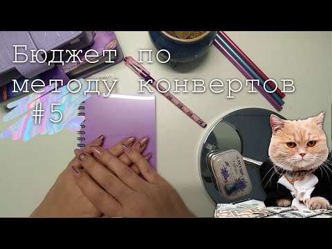 Видео: #5 Распределение денег по конвертам | Метод конвертов | 9 000 руб. | ноябрь 2023