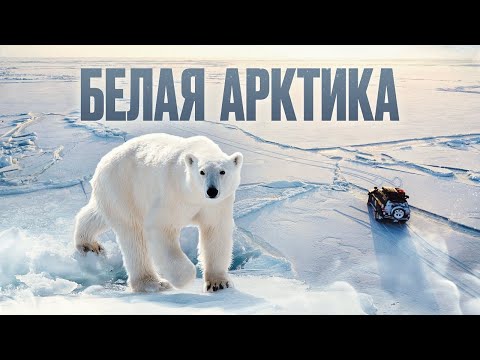 Видео: ЭКСПЕДИЦИЯ В АРКТИКУ - В ПОИСКАХ БЕЛОГО МЕДВЕДЯ. КАК ДОЕХАТЬ НА ОСТРОВ БЕЛЫЙ (ЯМАЛ 2021г)