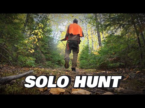 Видео: Одиночная охота в дикой природе Квебека | 6 куропаток и одна ночь