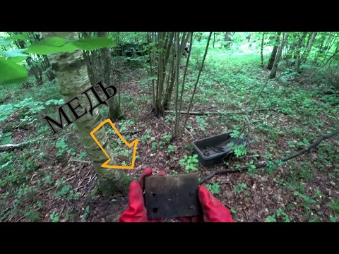 Видео: Нашёл сброс цветного металла, в этом лесу ещё много траков!
