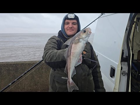 Видео: Новый рыбный залив HADDOCK 27 на морском рыболовном участке Humber в Великобритании.