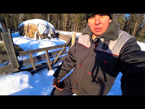 Видео: Снега столько, что едва пробились в огород. Живем в деревне