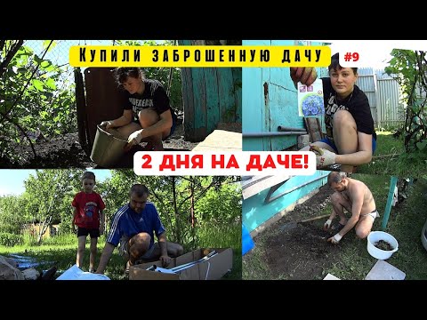 Видео: Наконец мы ЭТО СДЕЛАЛИ!!! Купили заброшенную дачу